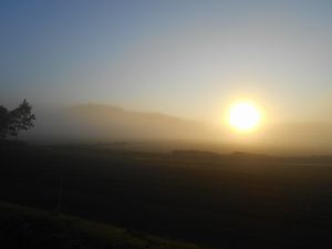 日の出と霧