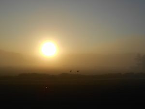 日の出と霧