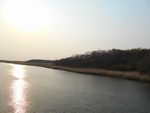 ヤウシュベツ川湿原