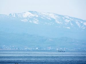 にしん文化歴史公園の海岸
