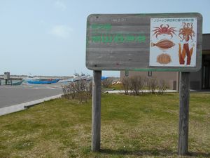 恵山泊漁港公園
