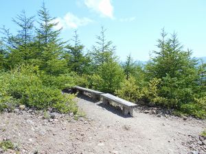 北海道駒ヶ岳の登山道