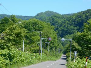 カムイヌプリ登山道入口付近風景