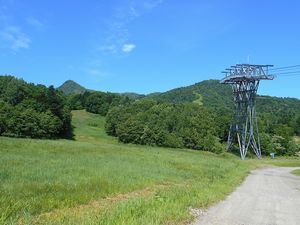 作業道とゲレンデ