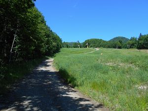 ゲレンデ脇の作業道へ