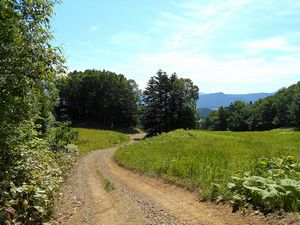 まだ続く作業道から振り返る