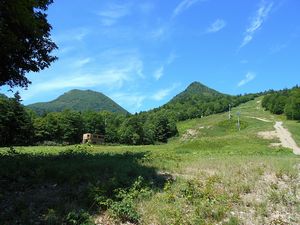 まだまだまだ続く作業道