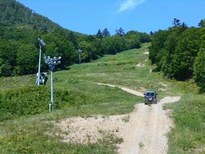 続く作業道をゆっくり進む作業車