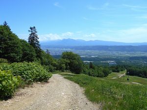 振り向くと十勝岳連峰