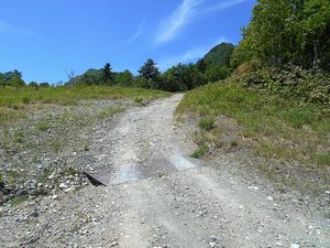 まだまだ続くよ作業道