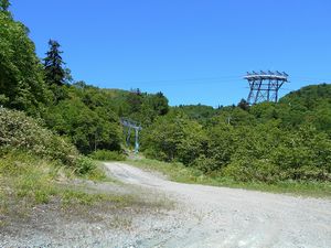 まだまだ続くよ作業道