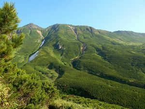 富良野岳稜線分岐から下山