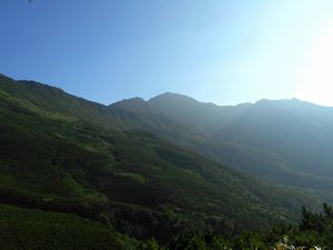 富良野岳稜線分岐から下山