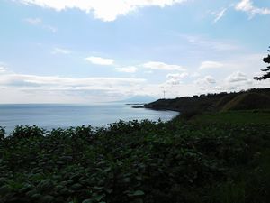 噴火湾沿岸からの風景