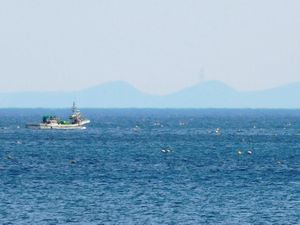 噴火湾沿岸からの風景