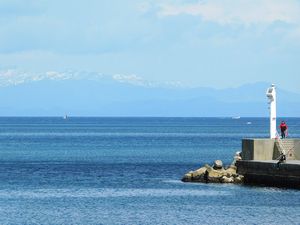 噴火湾沿岸からの風景