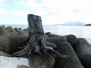 噴火湾沿岸からの風景