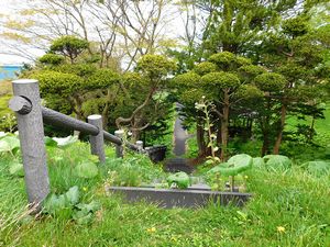 鷲ノ木史跡公園