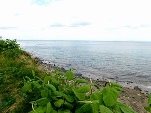 榎本武揚・土方歳三上陸の地