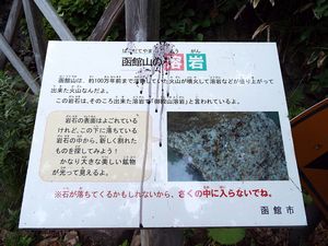 旧登山道３合目・函館山溶岩
