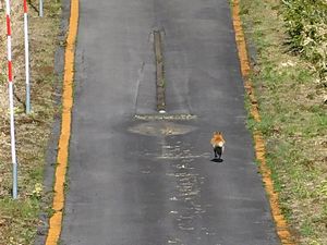 袴腰岳登山口へ