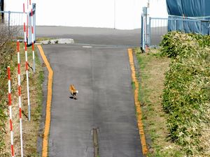 袴腰岳登山口へ