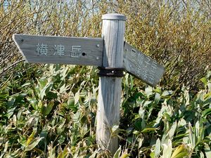 レーダー横登山口付近