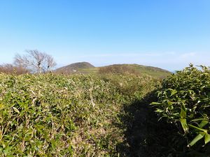 烏帽子岳へ