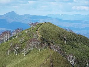 前紋別岳山頂から