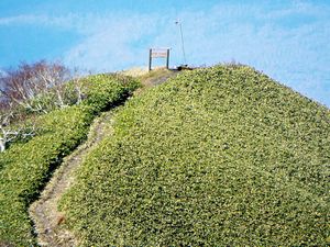 前紋別岳山頂から