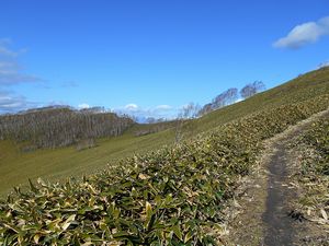 前紋別岳へ