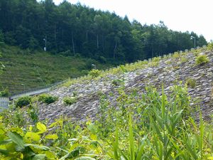 西岡ダム