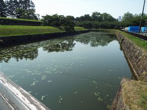 五稜郭公園へ