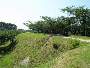 五稜郭公園から