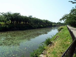 遊歩道から堀の様子