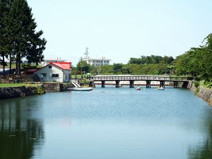 堀沿いの遊歩道から