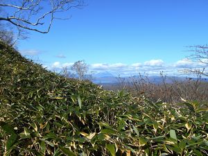 山頂へ