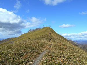 山頂へ