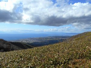 山頂へ