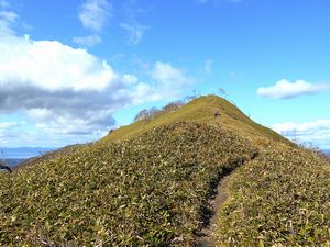 山頂へ