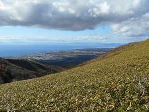 山頂へ