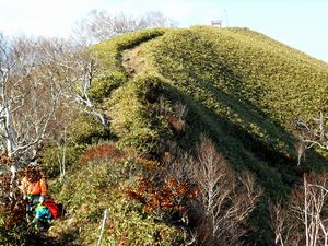 下山途中から