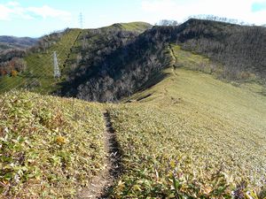 下山途中から