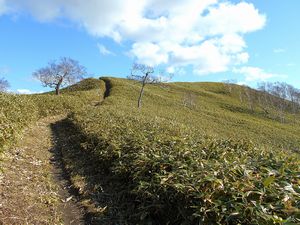 下山途中から