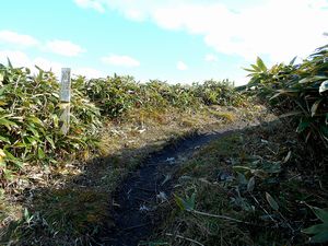 下山途中から