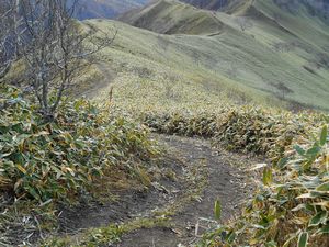 下山途中から