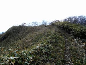 下山途中から