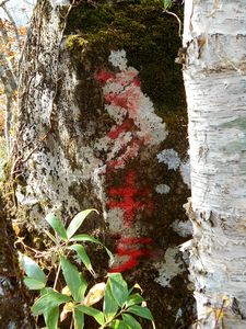 下山途中から