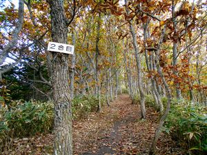 下山途中から