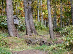 下山途中から